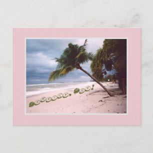Stormy Sky, Beach, Palm Tree, Negril, Jamaica Announcement Postcard