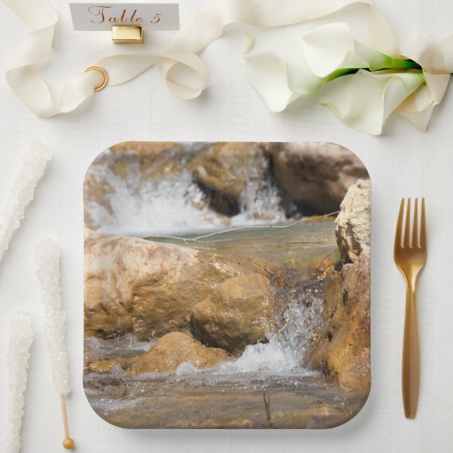 Stormy stream in spring paper plates (Wedding)