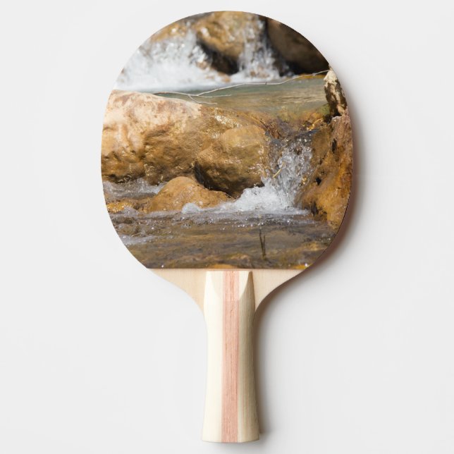 Stormy stream in spring ping pong paddle (Front)