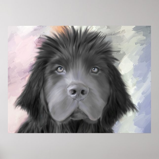 Stormy the Newfoundland Poster (Front)