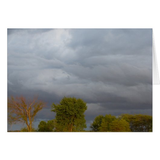 Stormy Weather Cards (Front Horizontal)