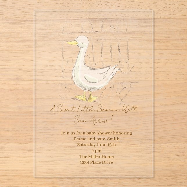 Storybook Duck Acrylic Invitations (Front)