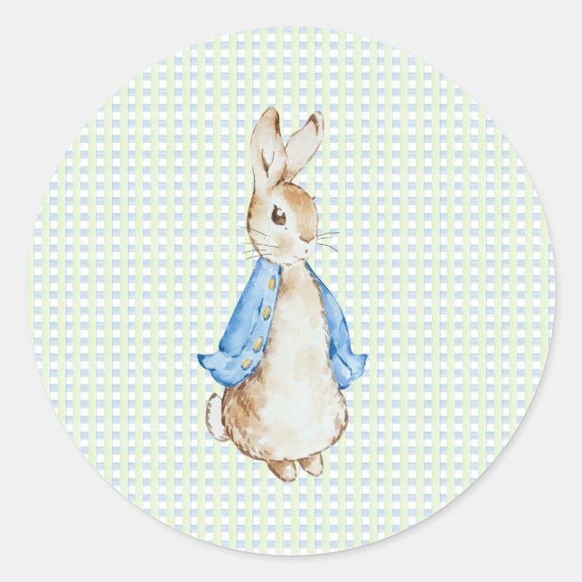 Storybook Garden Rabbit Inspired Baby Shower  Classic Round Sticker (Front)