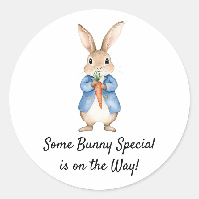 Storybook Rabbit Garden Party Baby Shower Classic Round Sticker (Front)