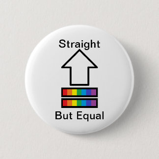 Straight But Equal LGBT support pin