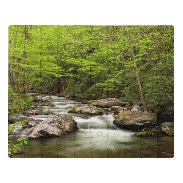 Straight Fork Flows Through Forest Jigsaw Puzzle (Puzzle Horizontal)