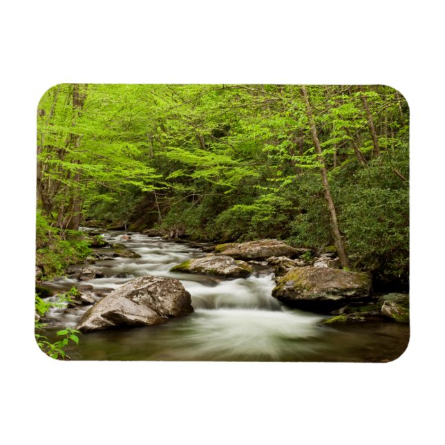 Straight Fork Flows Through Forest Magnet (Horizontal)