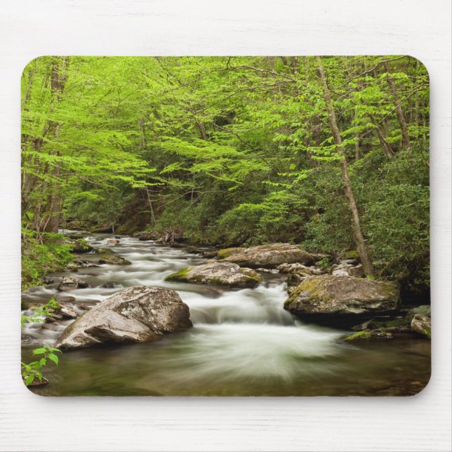 Straight Fork Flows Through Forest Mouse Pad (Front)