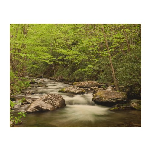 Straight Fork Flows Through Forest Wood Wall Art