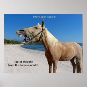 Straight From the Horse's Mouth 16"x12" Poster