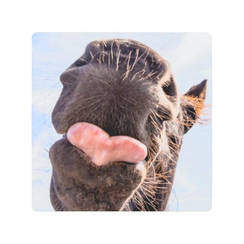 Straight from the horses mouth funny animal metal print