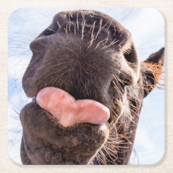 Straight From The Horse's Mouth Funny Animal Square Paper Coaster by ICandiPhoto at Zazzle