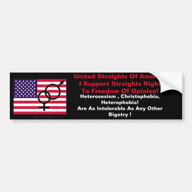 Straight Rights Bumper Sticker (Front)
