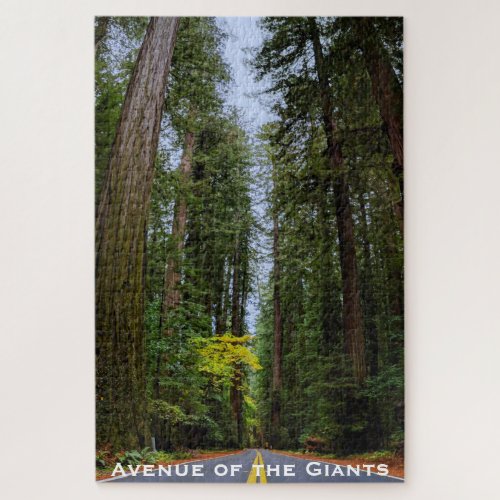 Straight Road Ahead Through Misty Redwood Forest Jigsaw Puzzle