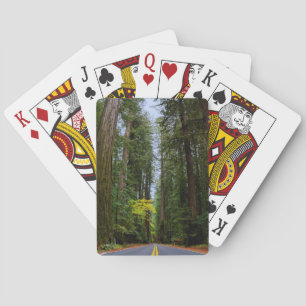Straight Road Ahead Through Misty Redwood Forest Poker Cards