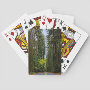 Straight Road Ahead Through Misty Redwood Forest Poker Cards