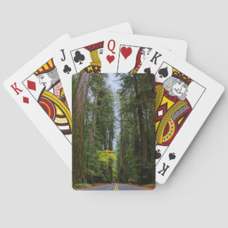 Straight Road Ahead Through Misty Redwood Forest Poker Cards