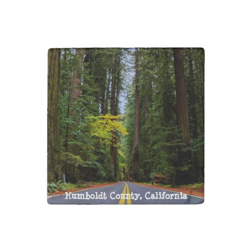 Straight Road Ahead Through Misty Redwood Forest Stone Magnet