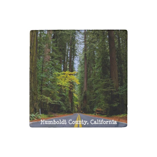 Straight Road Ahead Through Misty Redwood Forest Stone Magnet (Front)