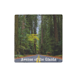 Straight Road Ahead Through Misty Redwood Forest Stone Magnet