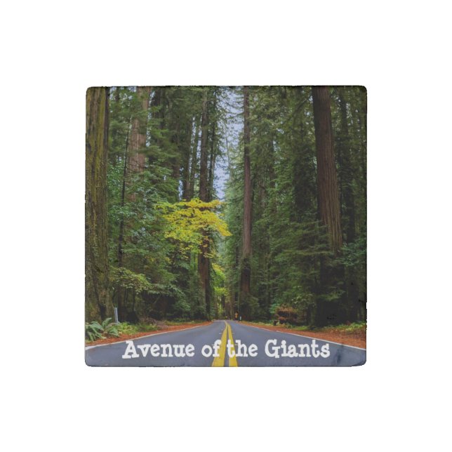 Straight Road Ahead Through Misty Redwood Forest Stone Magnet (Front)
