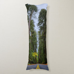 Straight Road Ahead Through Misty Redwoods Pillow