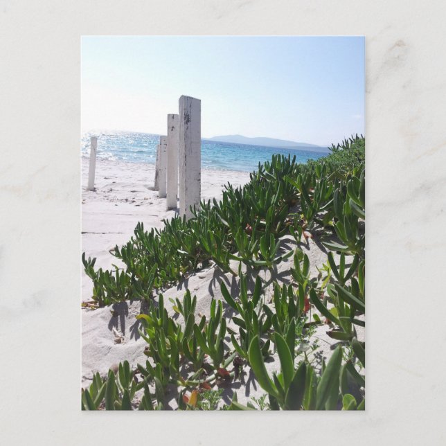 Strand bei Alghero Sardinien - Postkarte Postcard (Front)