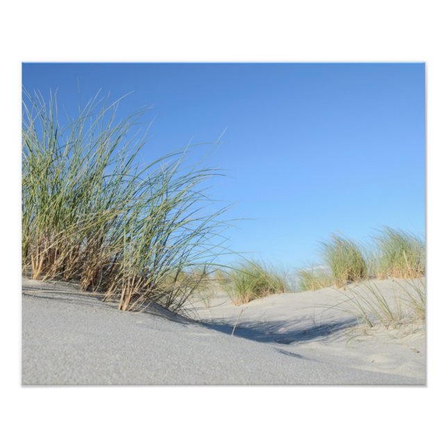 Strand Photo Print (Front)