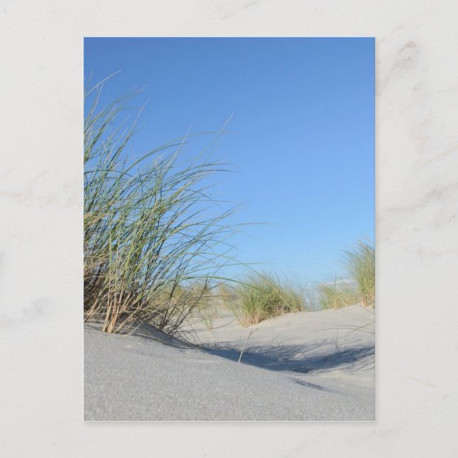 Strand Postcard (Front)