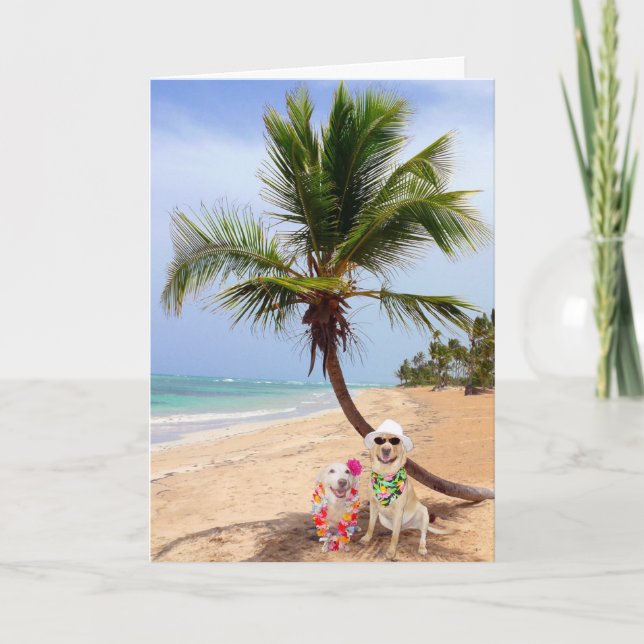 Stranded on Deserted Island Holiday Card (Front)