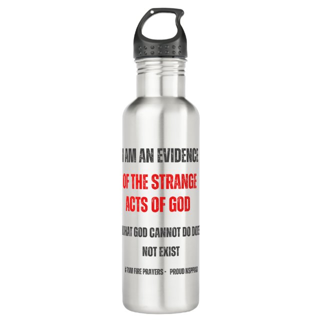 Strange Acts of God - nsppd Stainless Steel Water Bottle (Front)