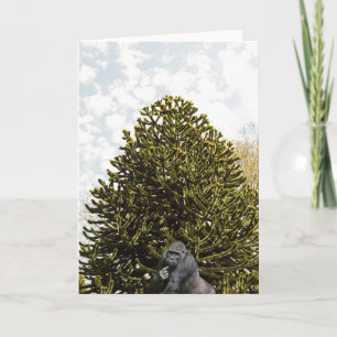 Strange enough to puzzle a monkey. card