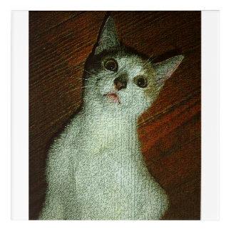 Strange Kitty Acrylic Print