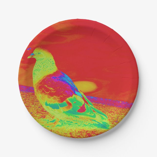 Strange Pigeon Paper Plates (Front)