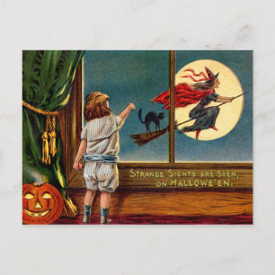 Strange Sights Postcard