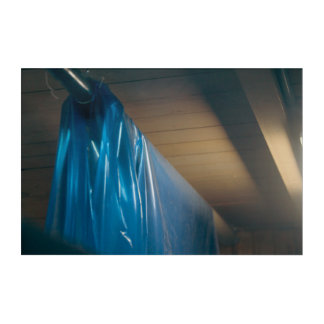 Strange Thing In Blue Acrylic Print