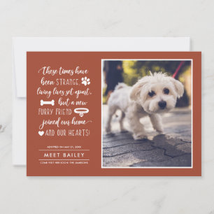 Strange Times New Pet Photo Announcement Orange