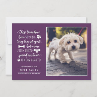 Strange Times New Pet Photo Announcement | Plum