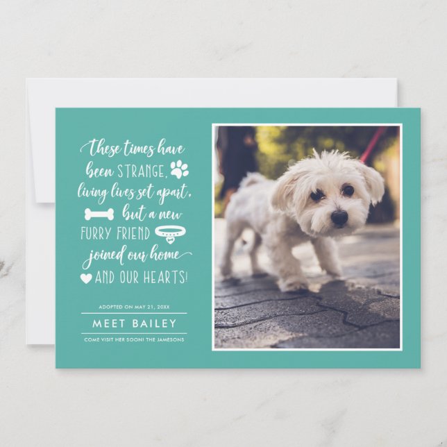 Strange Times New Pet Photo Announcement | Teal (Front)