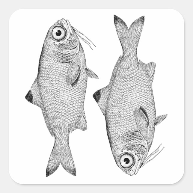 Strange vintage fish drawing square sticker (Front)
