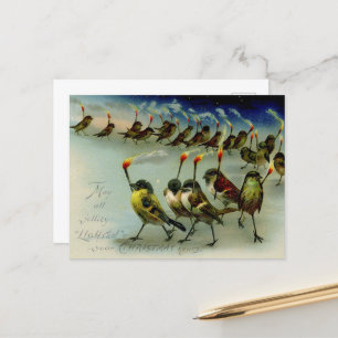 Strange Vintage Mob of Birds with Matches Postcard