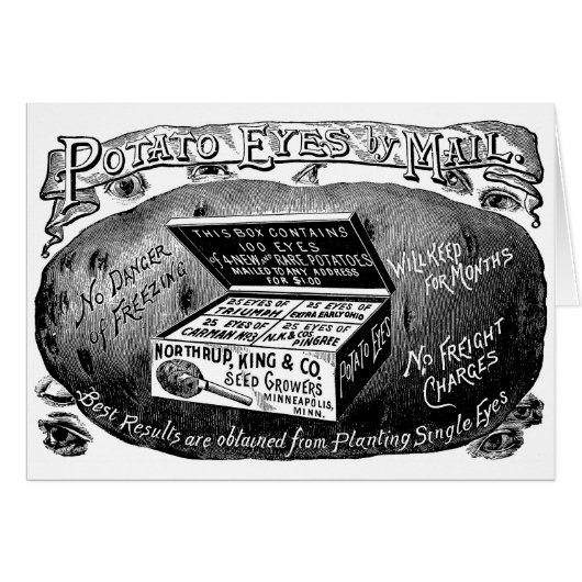Strange vintage potato advert cards (Front Horizontal)