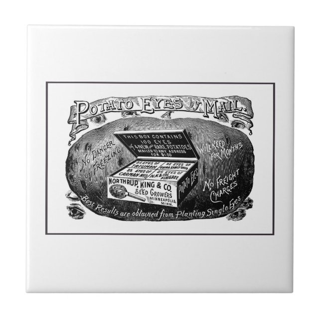 Strange vintage potato advert ceramic tile (Front)