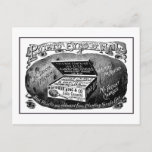 Strange vintage potato advert postcard