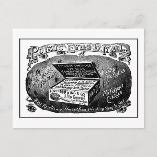 Strange vintage potato advert postcard