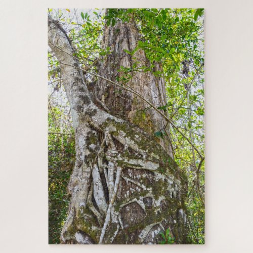 Strangler Fig Big Cypress National Preserve FL Jigsaw Puzzle