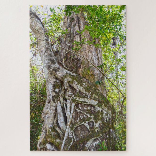 Strangler Fig, Big Cypress National Preserve, FL Jigsaw Puzzle (Vertical)