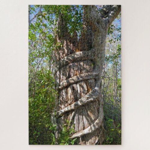 Strangler Fig Big Cypress National Preserve FL Jigsaw Puzzle