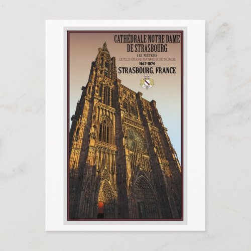 Strasbourg _ Cathedral Notre Dame Postcard