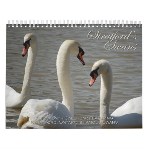 Stratford Swans Calendar